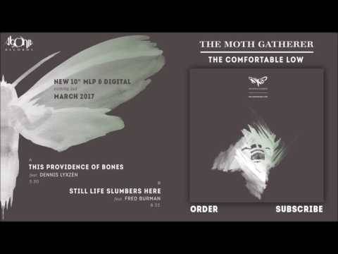 Le nouvel Ep de The Moth Gatherer en streaming complet (actualité)