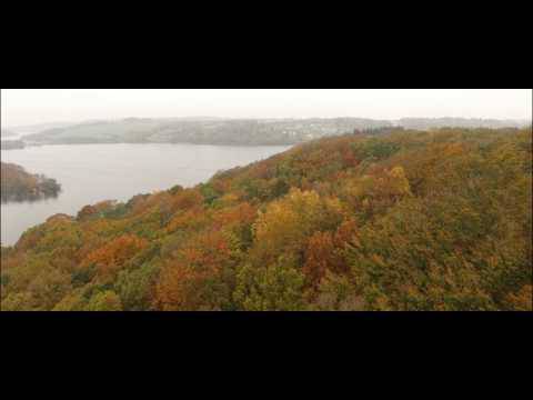 EP acoustique pour Vola (actualité)