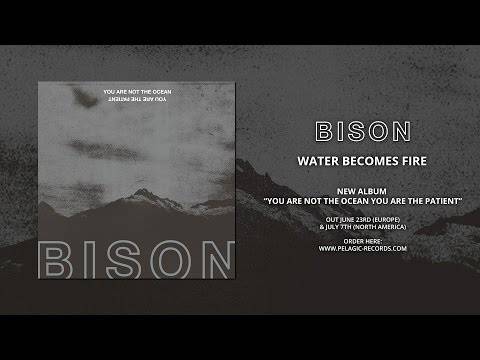 Bison balance son nouveau morceau (actualité) Bison balance son nouveau morceau (actualité)