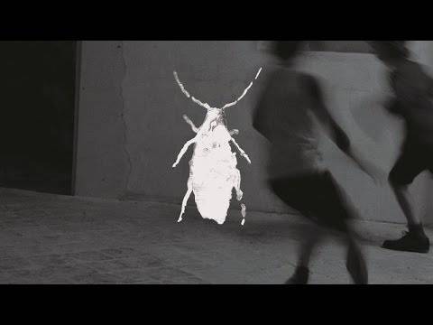 Klogr balance son nouveau clip sur la toile (actualité) Klogr balance son nouveau clip sur la toile (actualité)