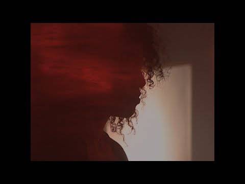 Nouveau clip pour Animal Youth (actualité)