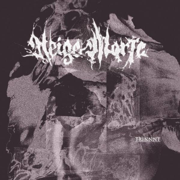 Neige Morte met son nouvel album en streaming (actualité)