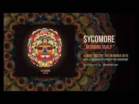 Sycomore en montre plus (actualité) Sycomore en montre plus (actualité)