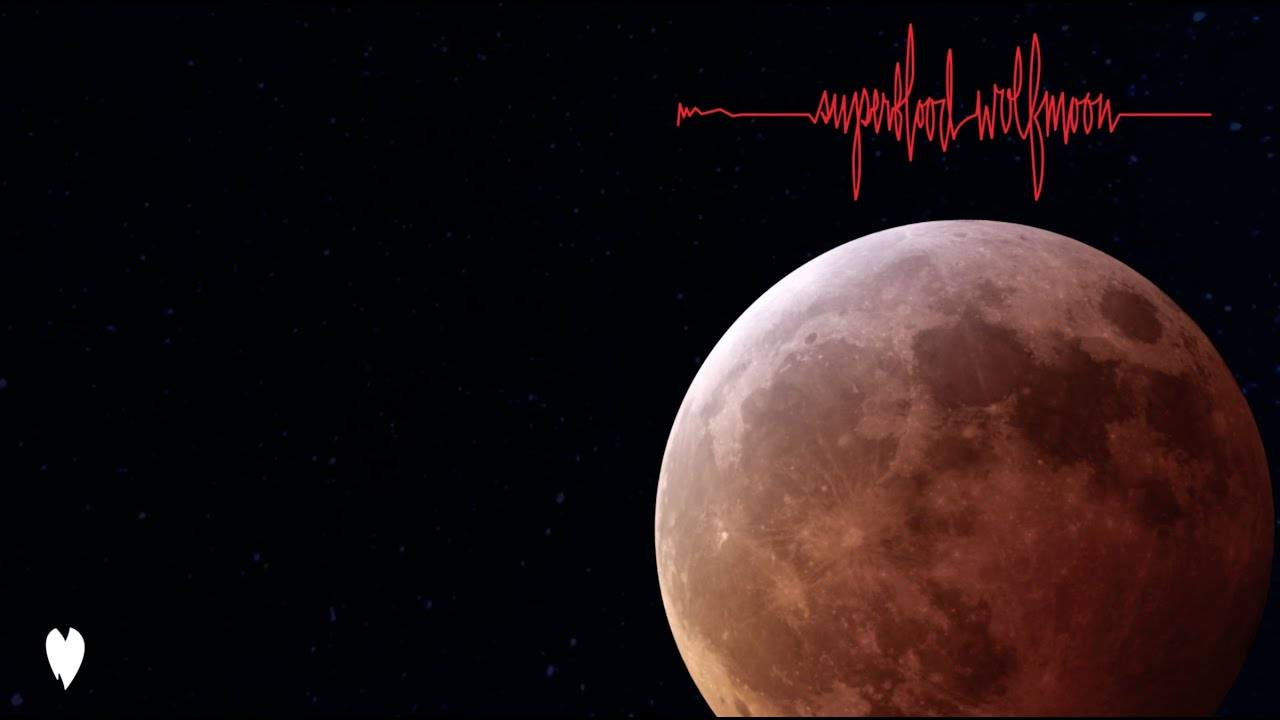 Pearl Jam garou ? - Superblood Wolfmoon (actualité)