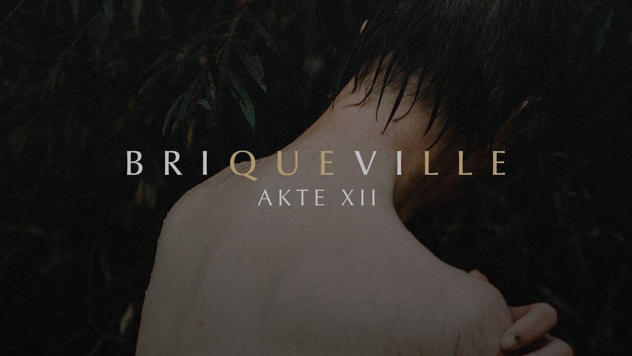 B R I Q U E V I L L E passe à l'acte - Akte XII (actualité)