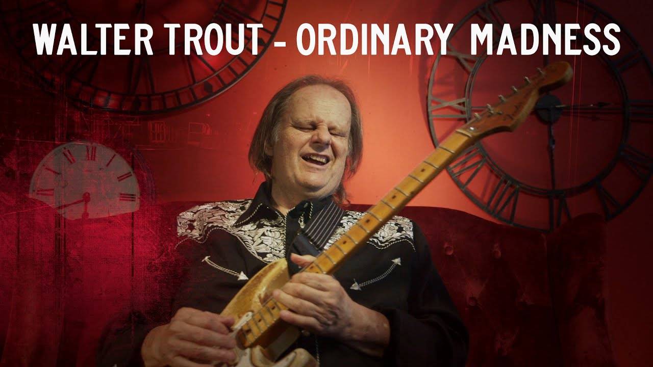 Walter Trout chronique de la folie ordinaire - Ordinary Madness (actualité)