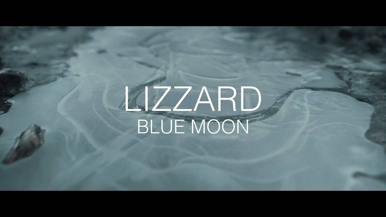 Lizzard vise la lune - Blue Moon (actualité)