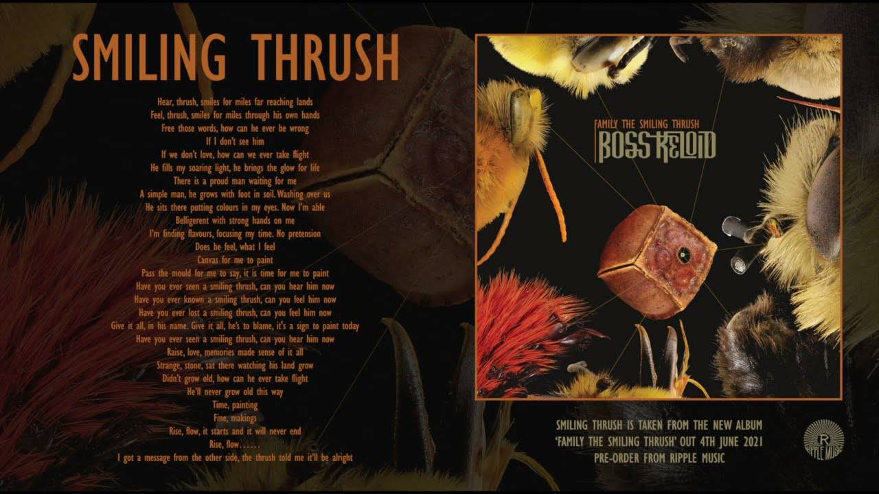 Boss Keloid a le sourire - Smiling Thrush (actualité) Boss Keloid a le sourire - Smiling Thrush (actualité)