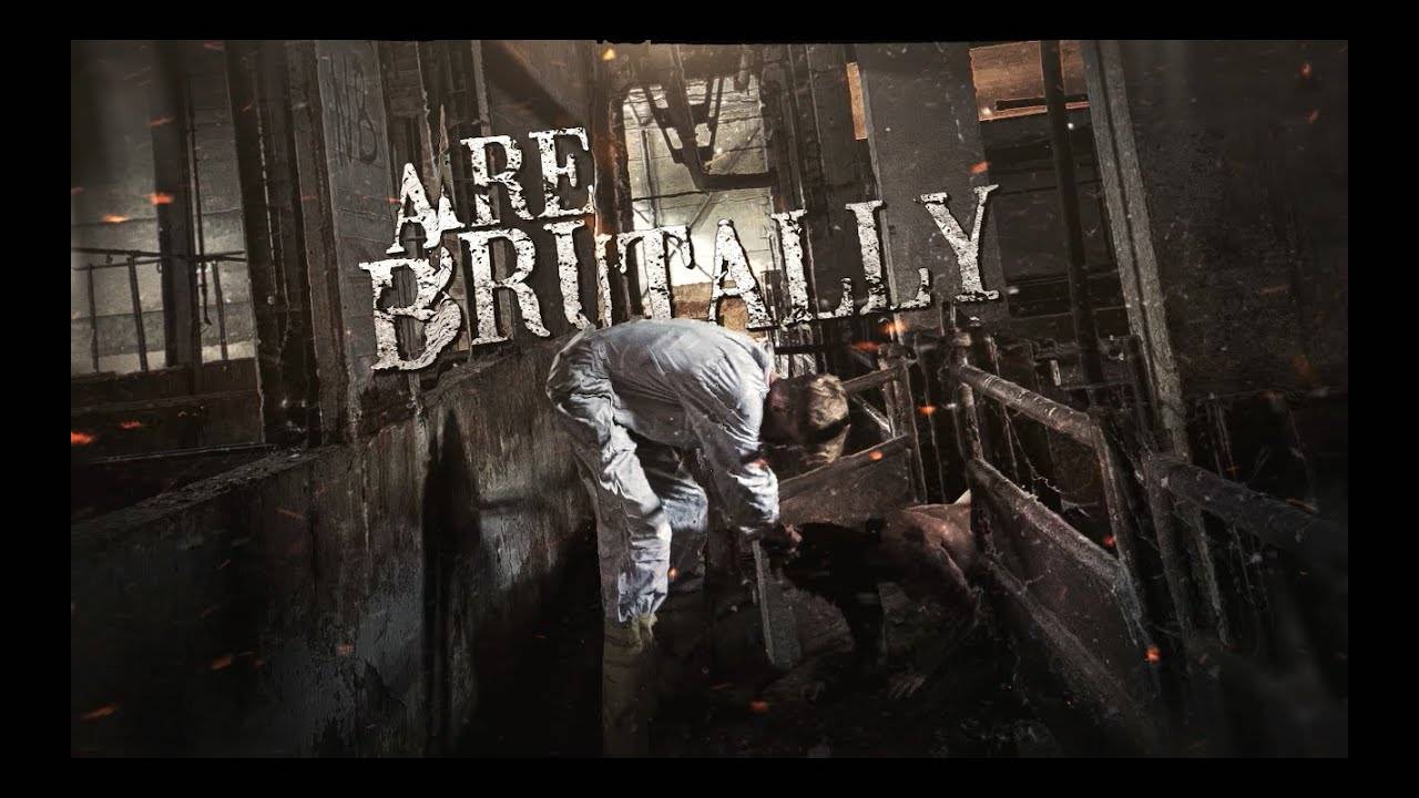 Reject The Sickness peste sur la vie -The Plague Of Life (actualité) Reject The Sickness peste sur la vie -The Plague Of Life (actualité)
