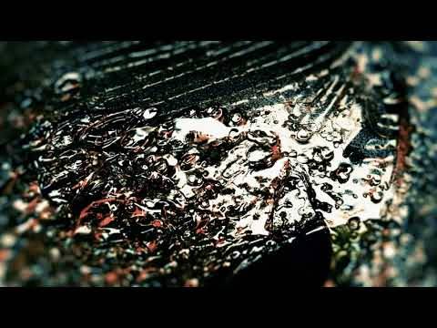 Frontierer en toute transparence - Opaque Horizon (actualité)