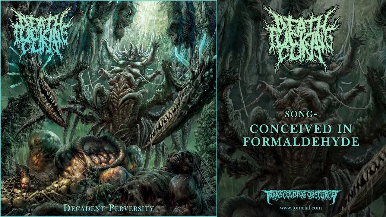 DeathFuckingCunt tripotte ses flagelles - Suicidal Masturbatory Flagellation (actualité)