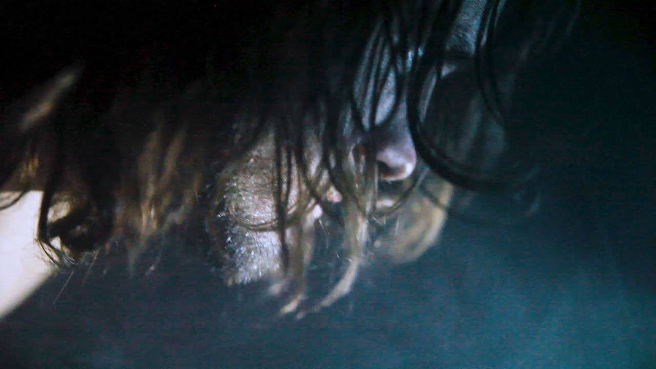 Pianos Become The Teeth jeune et vierge - Genevieve (actualité)