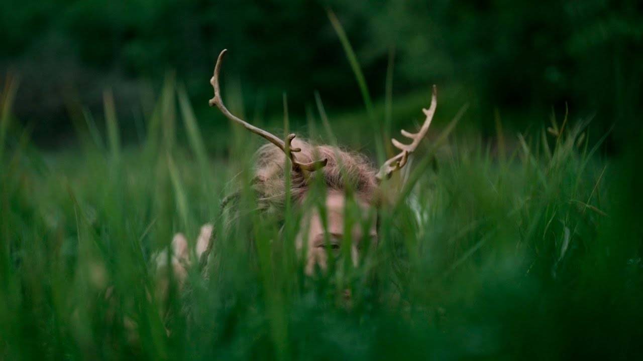 Heilung pas d'accord avec Ana - Anoana (actualité)