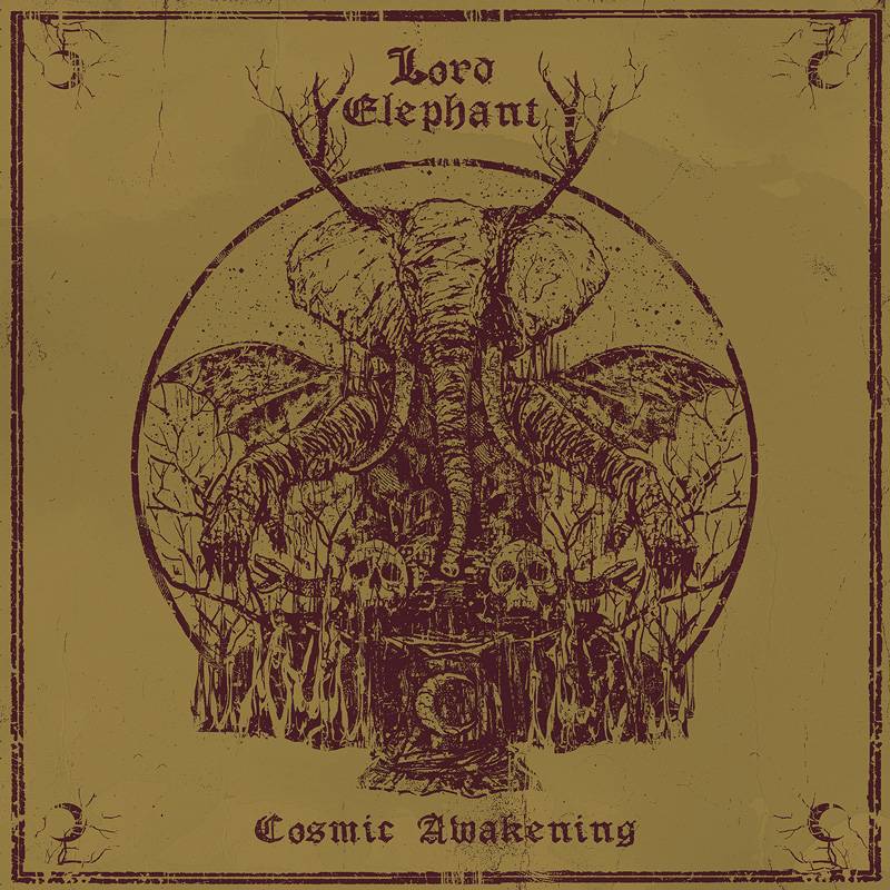 Lord Elephant se réveille - Cosmic Awakening (actualité)