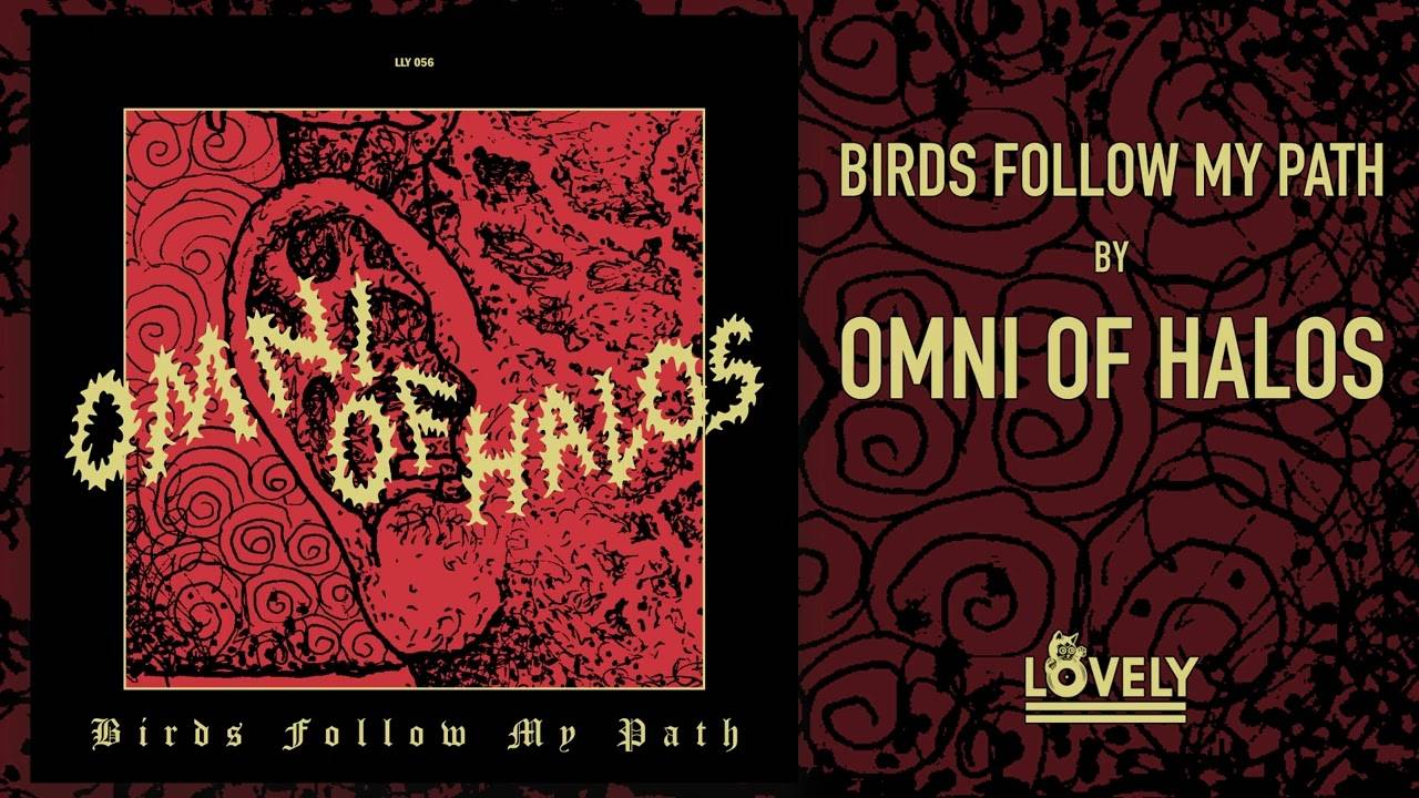 Omni of Halos suivi par des volatiles - Birds Follow My Path (actualité)
