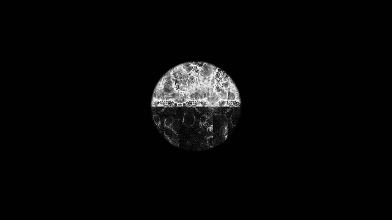 Sanzu se cultive - Cultivate (actualité) Sanzu se cultive - Cultivate (actualité)
