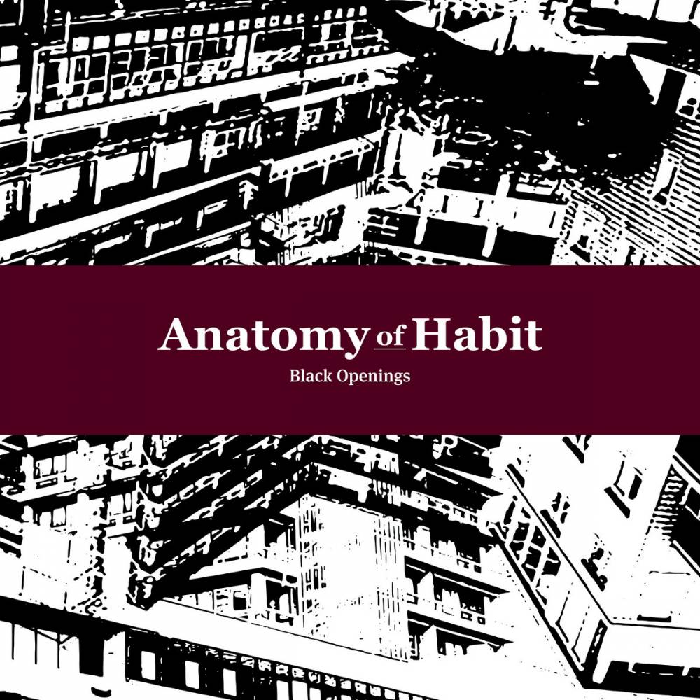 Pour Anatomy of Habit noir c'est noir -  Black Openings  (actualité)