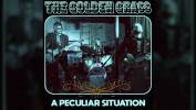 The Golden Grass en situation délicate - A Peculiar Situation