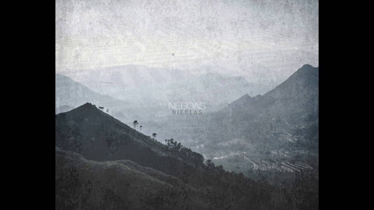 Un nouvel album dans les tuyaux pour Néboas (actualité)