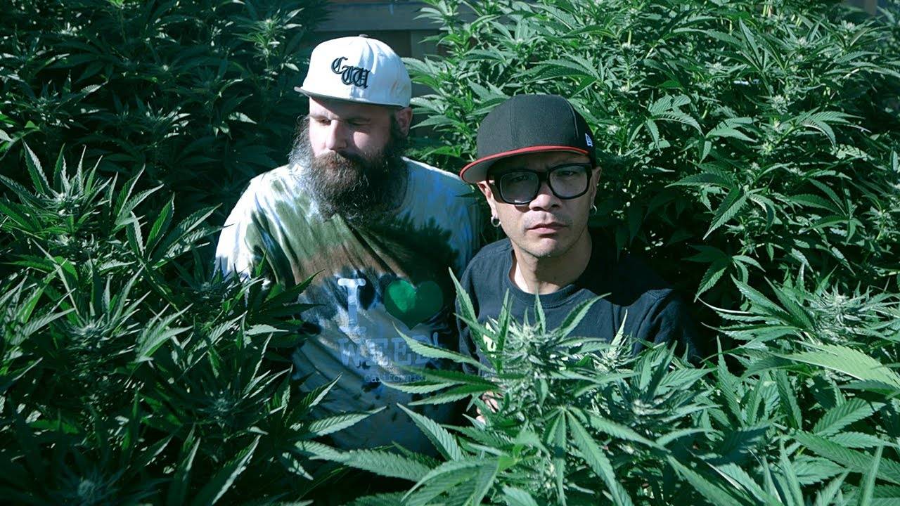 Danko Jones  prend l'ascenseur - Get High? (actualité)