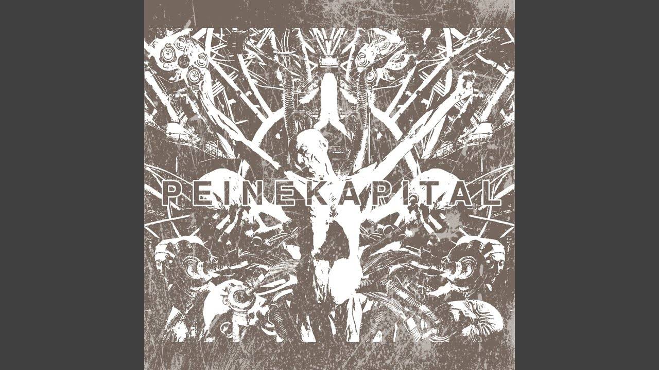 Peine Kapital court avec des bestioles - Cour Bestiale (actualité)