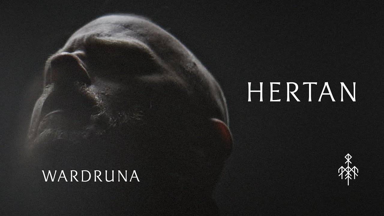 Wardruna revient sans heurt - Hertan (actualité)