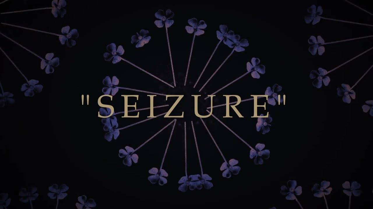 Maudits ça c'est zûr - Seizure (actualité) Maudits ça c'est zûr - Seizure (actualité)