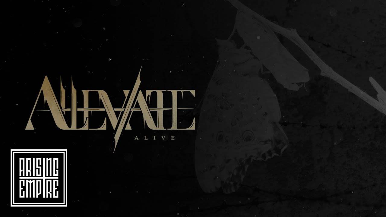 Alleviate n'est pas mort - Alive (actualité)