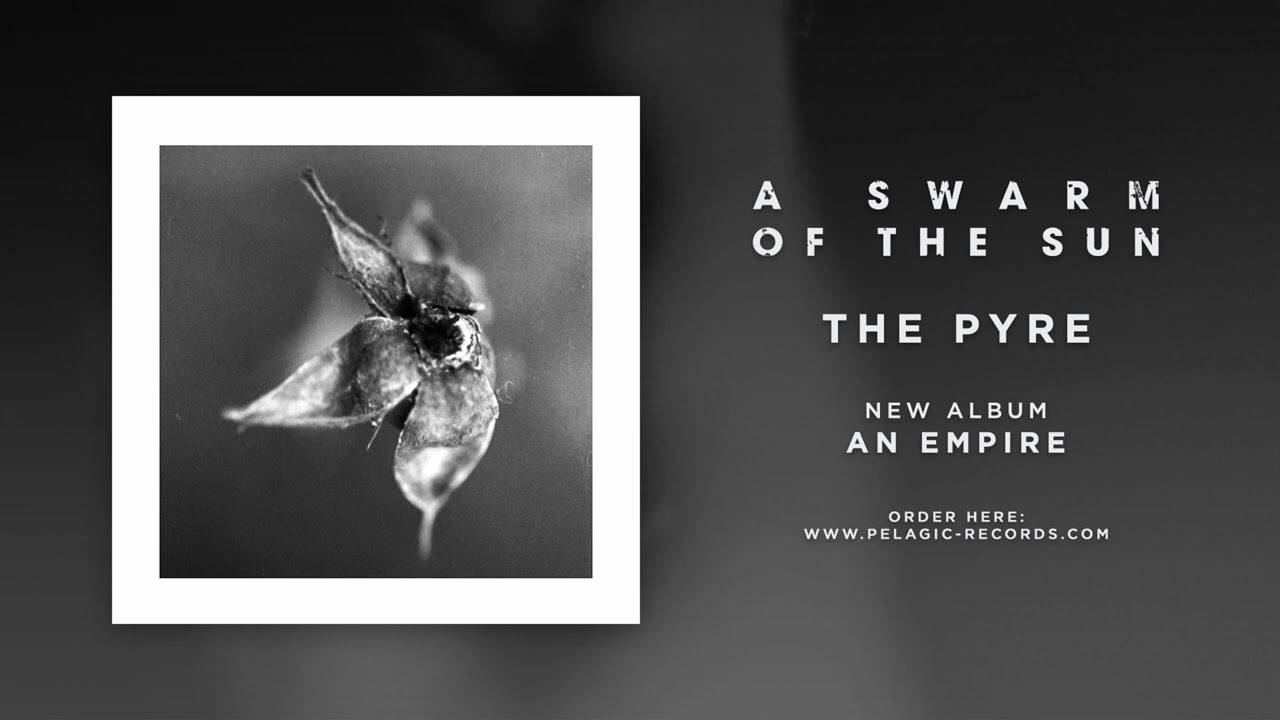 A Swarm Of The Sun craint le pire - The Pyre (actualité) A Swarm Of The Sun craint le pire - The Pyre (actualité)