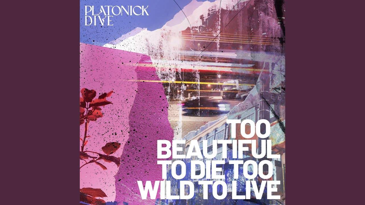 La beauté sauvage de  Platonick Dive - Too Beautiful To Die Too Wild To Live (actualité)