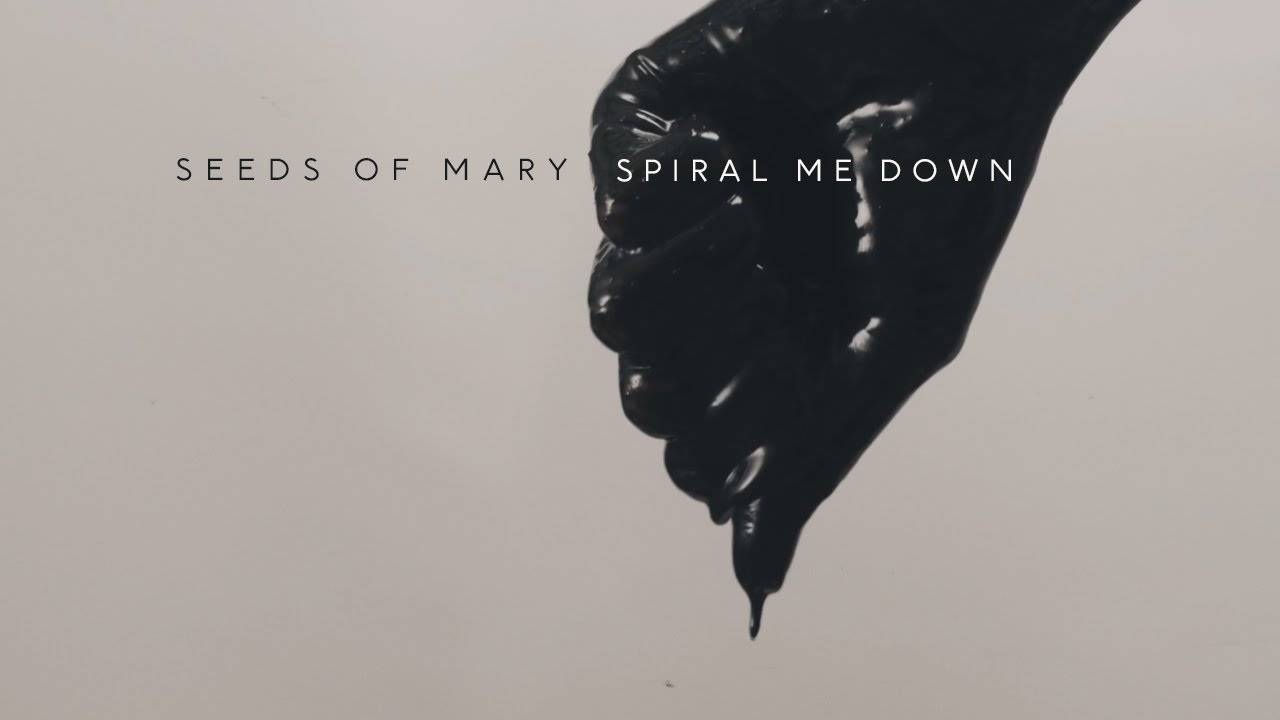 Seeds of Mary chute en cercle - Spiral Me Down (actualité) Seeds of Mary chute en cercle - Spiral Me Down (actualité)