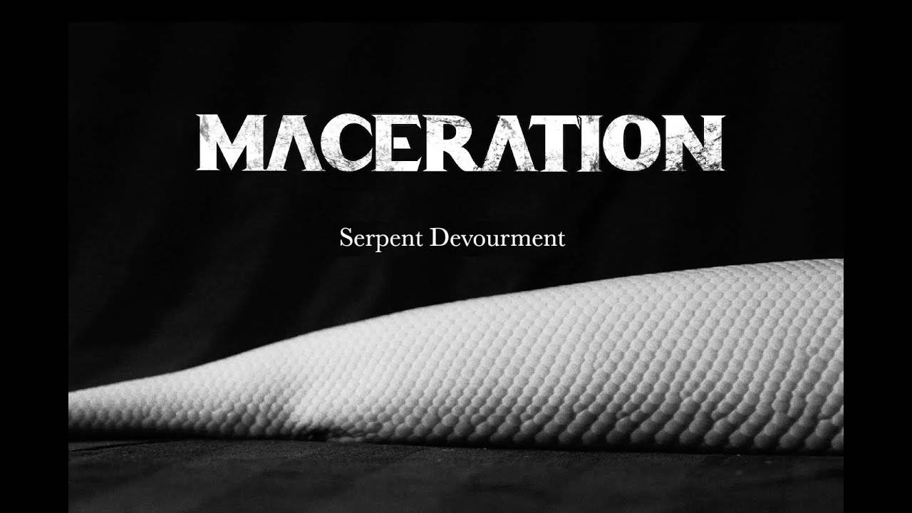 Maceration mange du python - Serpent Devourment (actualité)