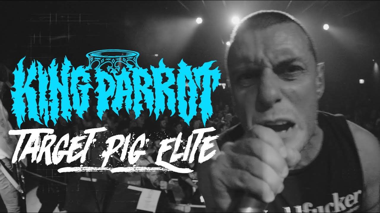 King Parrot cible les cochons - Target Pig Elite (actualité)