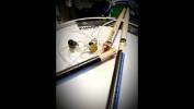 Antechaos fait une batterie de tests In Vivo